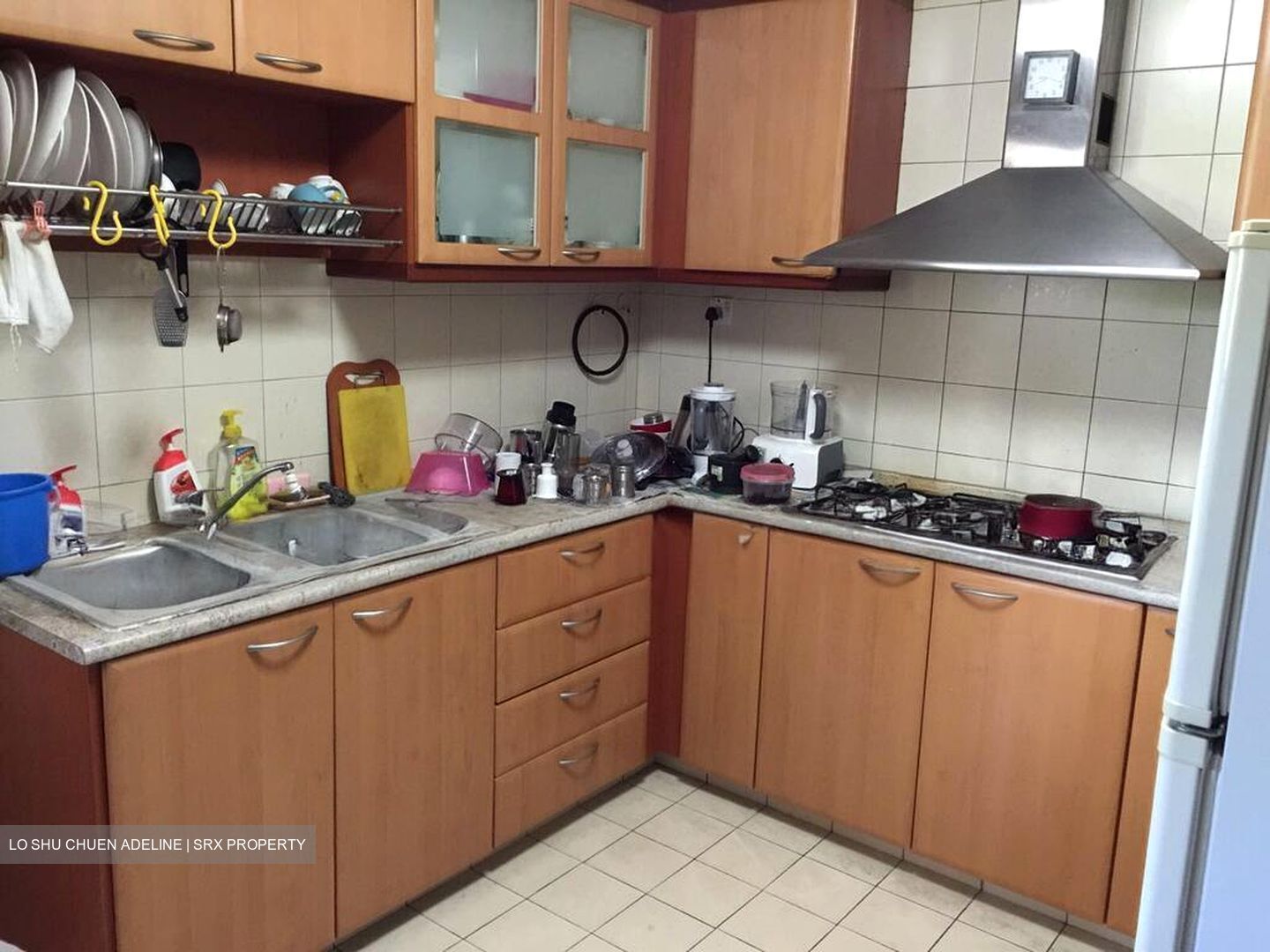 Carissa Park Condominium (D17), Condominium #566021321
